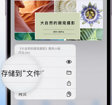 鄞州apple维修中心分享iPhone文件应用中存储和找到下载文件