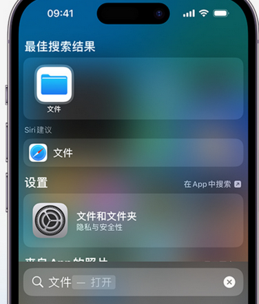 鄞州apple维修中心分享iPhone文件应用中存储和找到下载文件 