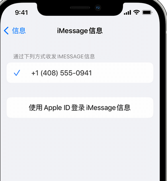 鄞州apple维修iPhone上无法正常发送iMessage信息