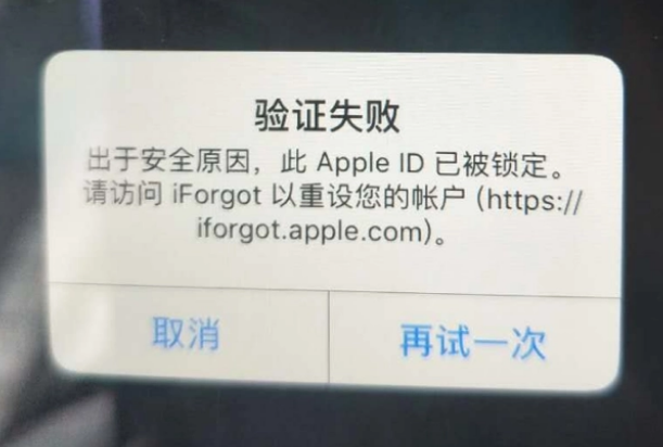 鄞州iPhone维修分享iPhone上正常登录或使用AppleID怎么办 