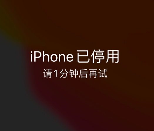 鄞州苹果手机维修分享:iPhone 显示“不可用”或“已停用”怎么办？还能保留数据吗？ 