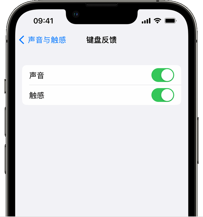 鄞州苹果14维修店分享如何在 iPhone 14 机型中使用触感键盘 