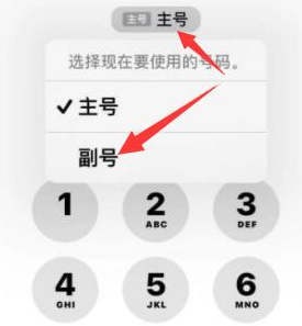 鄞州苹果14维修店分享iPhone 14 Pro Max使用副卡打电话的方法 