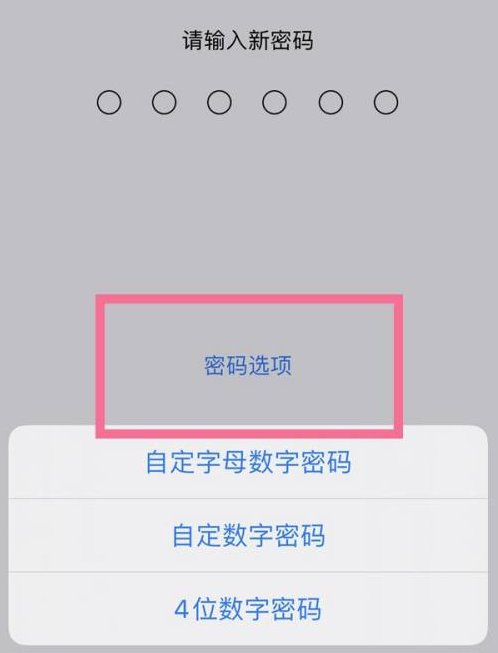 鄞州苹果14维修分享iPhone 14plus设置密码的方法 