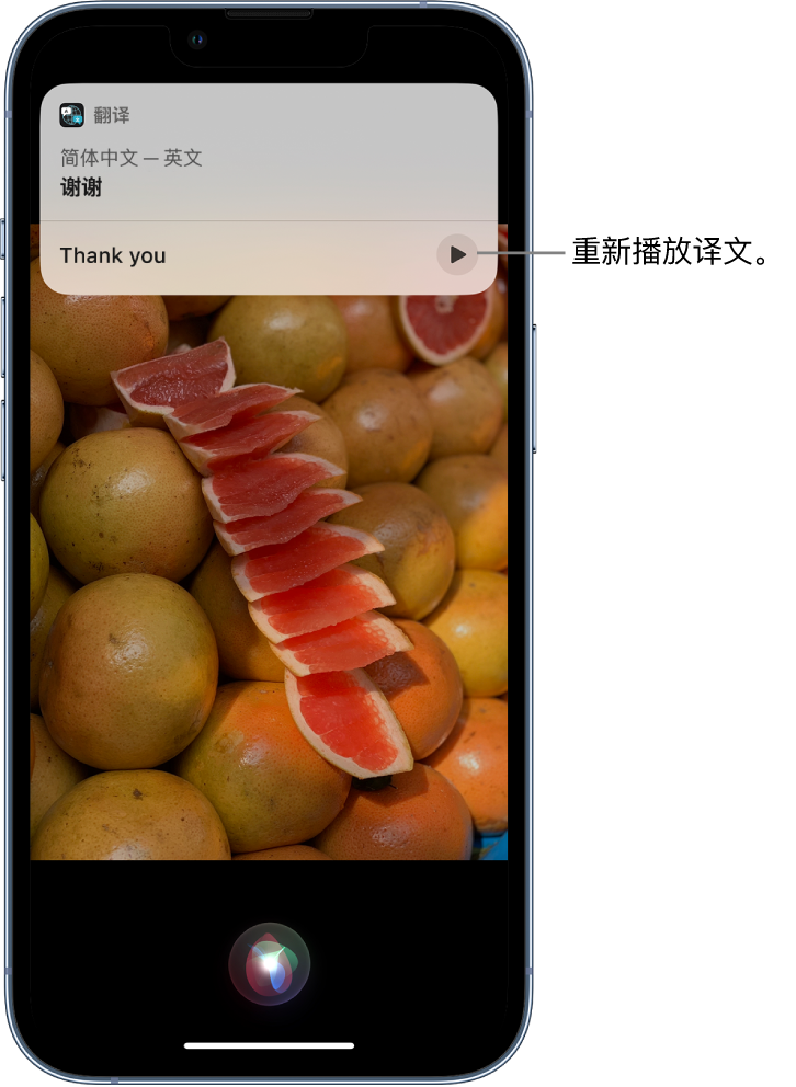 鄞州苹果14维修分享 iPhone 14 机型中使用 Siri：了解 Siri 能帮你做什么 