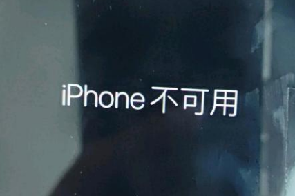 鄞州苹果服务网点分享锁屏界面显示“iPhone 不可用”如何解决 