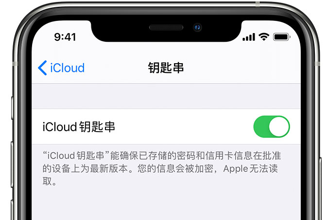 鄞州苹果手机维修分享在 iPhone 上开启 iCloud 钥匙串之后会储存哪些信息 