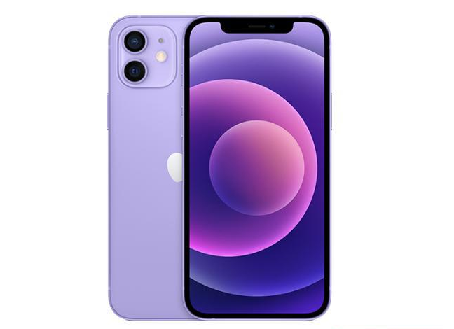 鄞州苹果手机维修分享现阶段要不要入手紫色版iPhone12 
