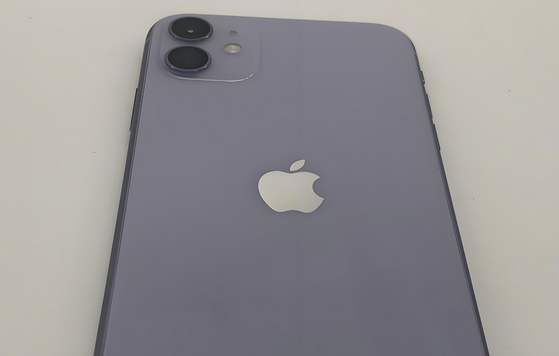 鄞州苹果11系统维修分享iPhone11手机系统崩溃无法开机如何解决