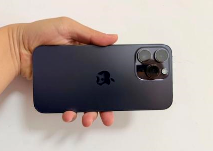 鄞州苹果维修点分享iPhone 14 Pro Max黑屏少见故障盘点 